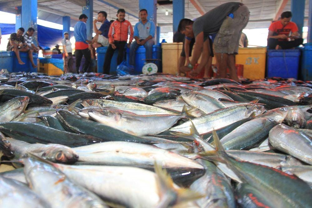 BPDP Jamin Diskon Solar Nelayan Tak Ganggu Program Peremajaan Sawit