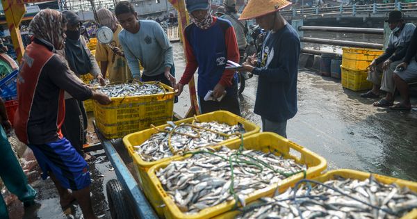 Kkp Akan Segera Sertifikasi Nelayan Kecil Dan Awak Kapal 8927