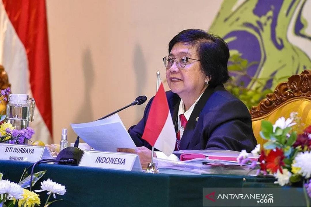 Menuju COP26, Indonesia Kerja Sama dengan Brasil dan Kongo