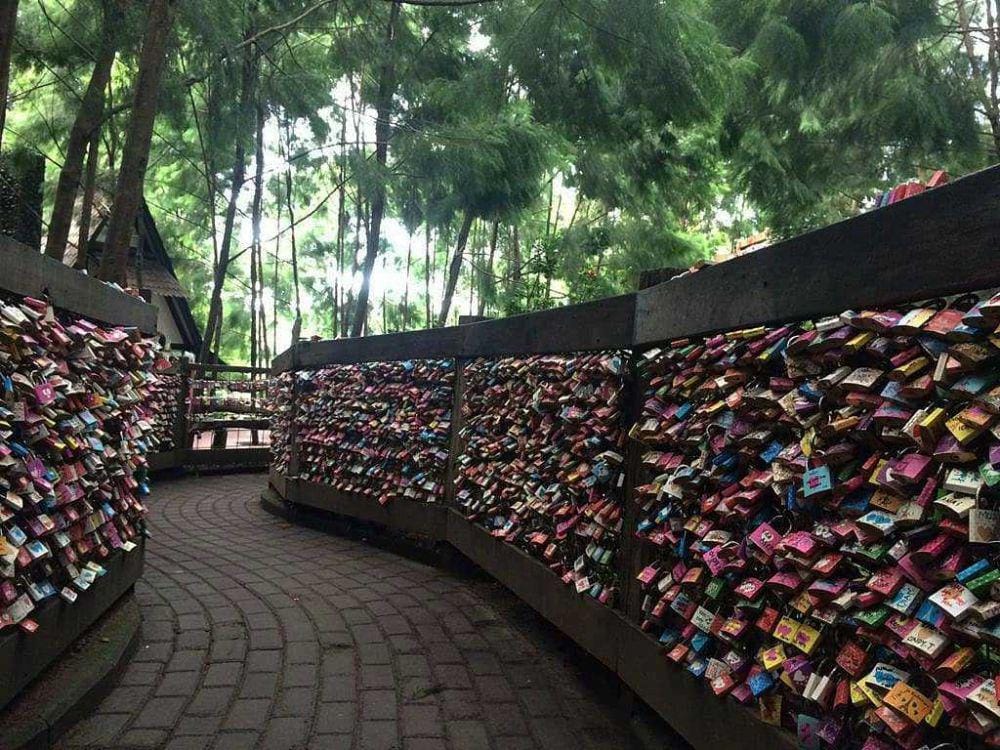 potret Farm House Lembang (instagram.com/pashaamalia)