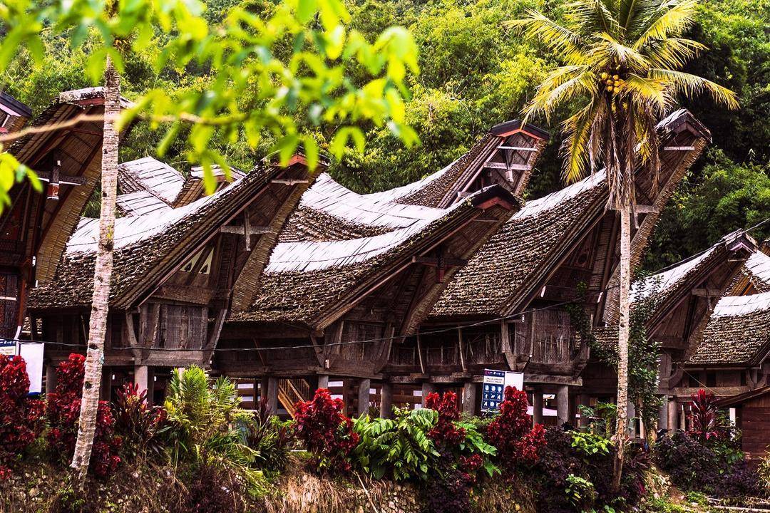 Tana Toraja. (Unsplash/Marc St)
