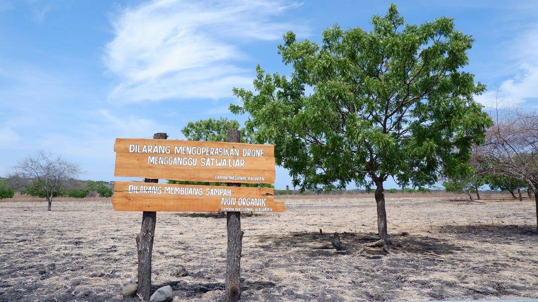 Taman Nasional Baluran. (Unsplash/Pandarekuwa)