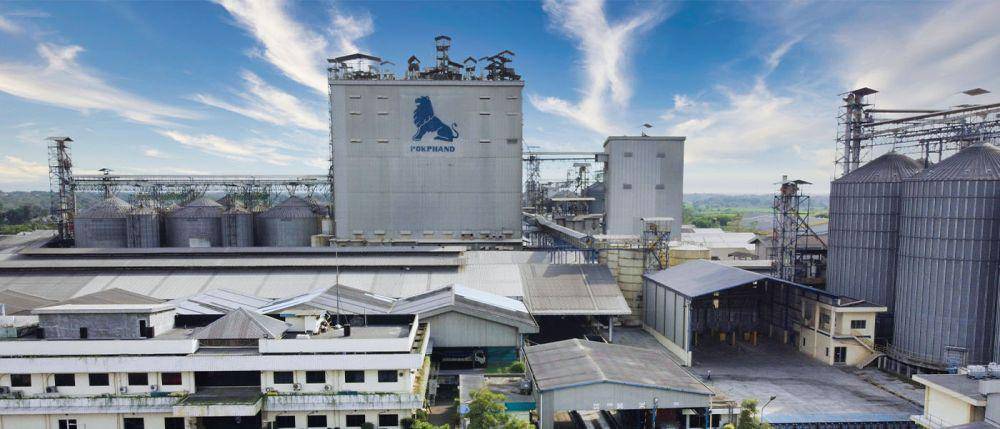 PT Charoen Pokphand Indonesia Tbk (dok. CPIN)