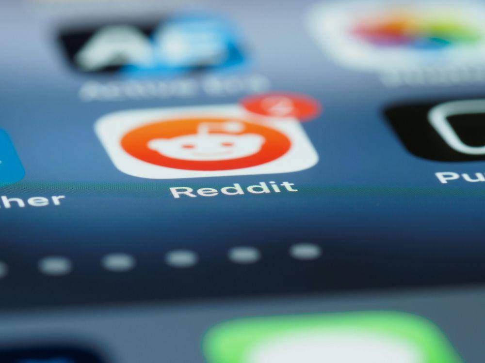 ilustrasi reddit (pexels.com/brettjordan)
