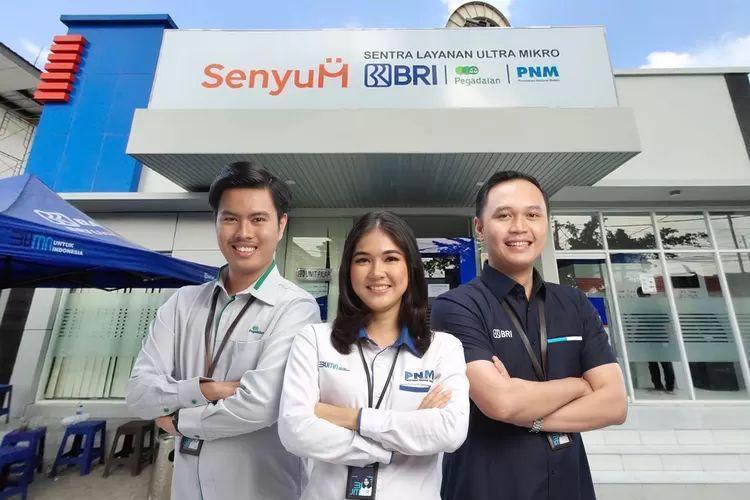 Holding Ultra Mikro BRI Salurkan Kredit Rp626,6 Triliun di 2024
