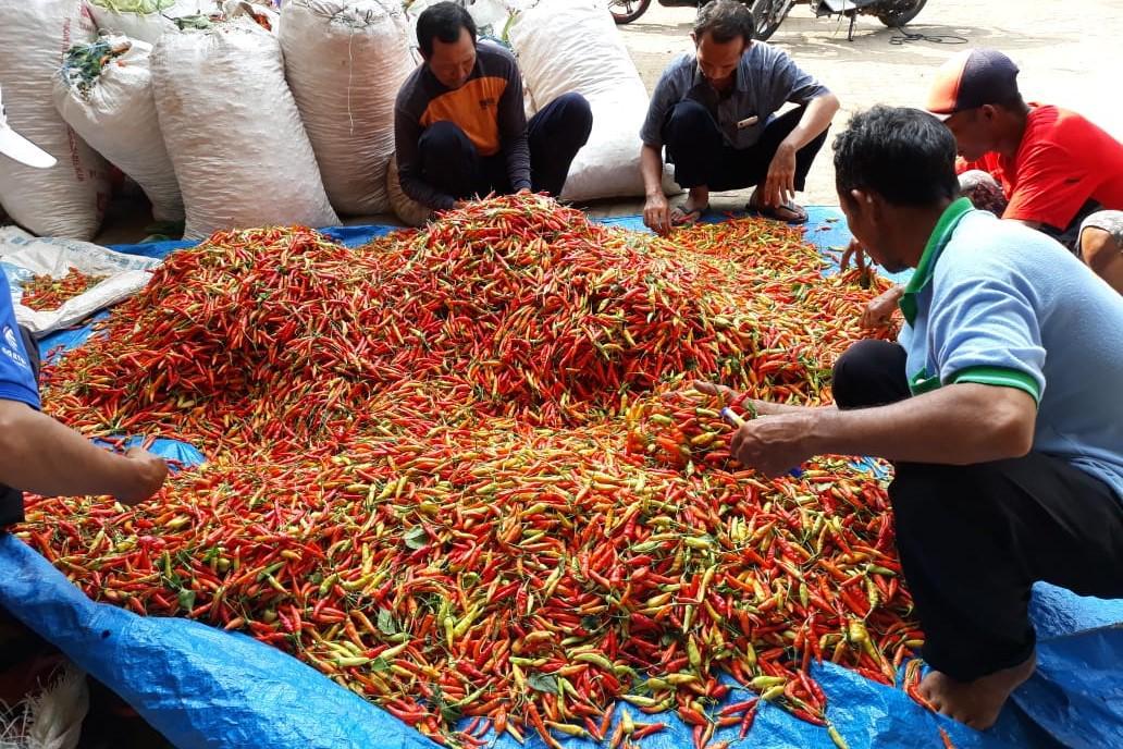 Harga Pangan 21 Februari 2025: Cabai Rawit Merah Melonjak