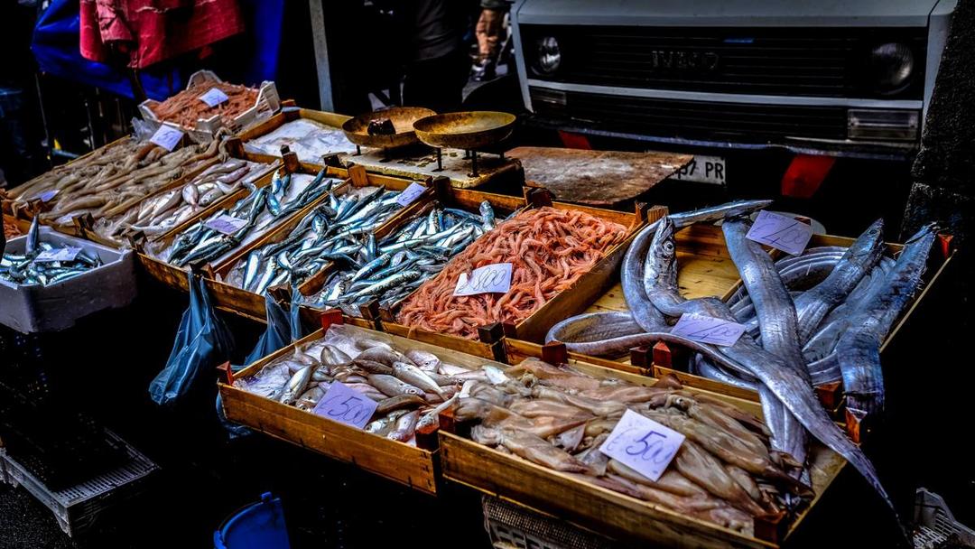 KKP: Harga Ikan Stabil Jelang Ramadan, Segini Acuannya