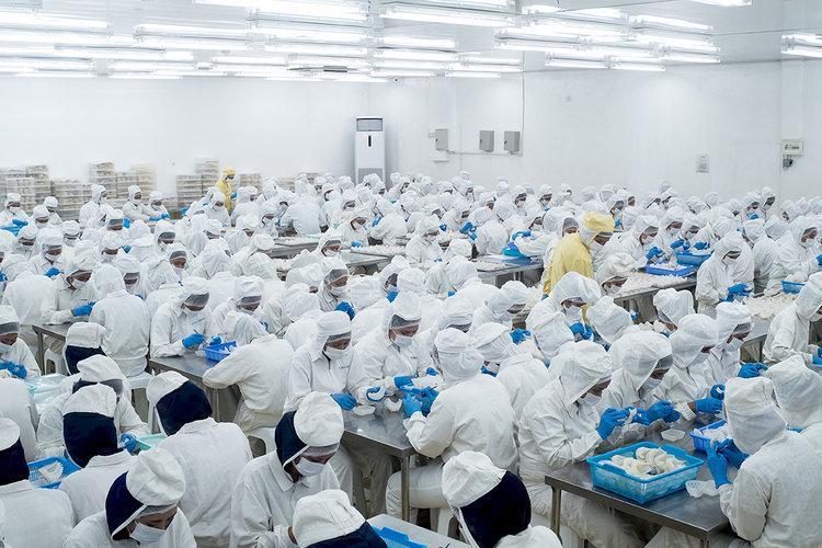 Jajaki Pasar Amerika, NEST Gandeng Golden Nest Hadirkan Produk SBW
