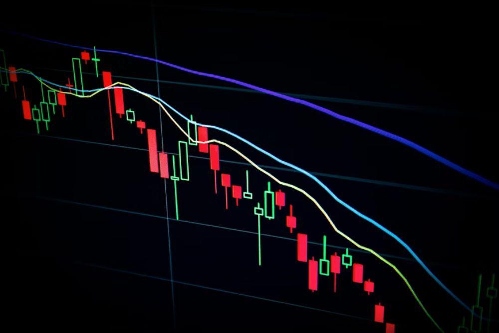 apa itu dead cat bounce