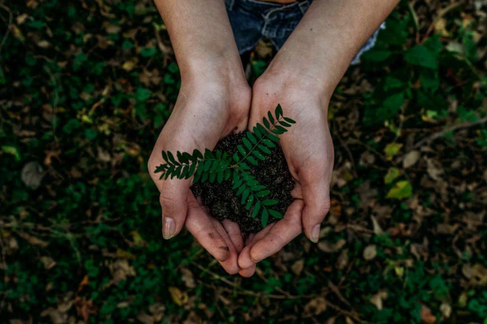 Apa itu Sustainable Luxury? Kenali Manfaatnya