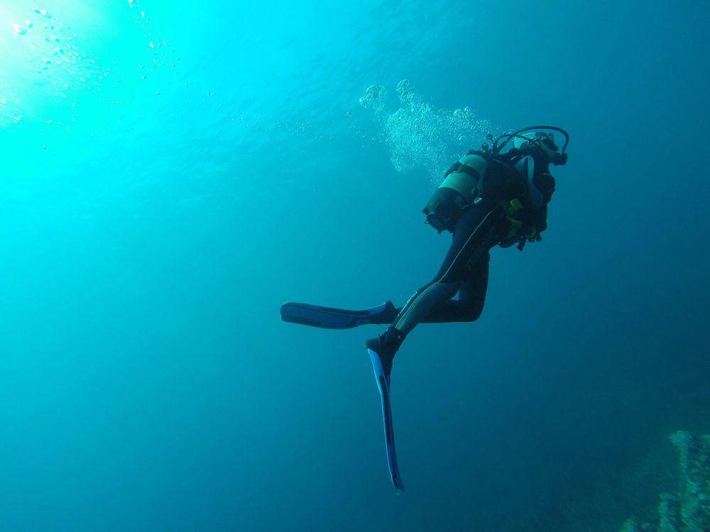 ilustrasi seorang penyelam yang sedang menyelam di dalam laut (pixabay.com/tuturgires)