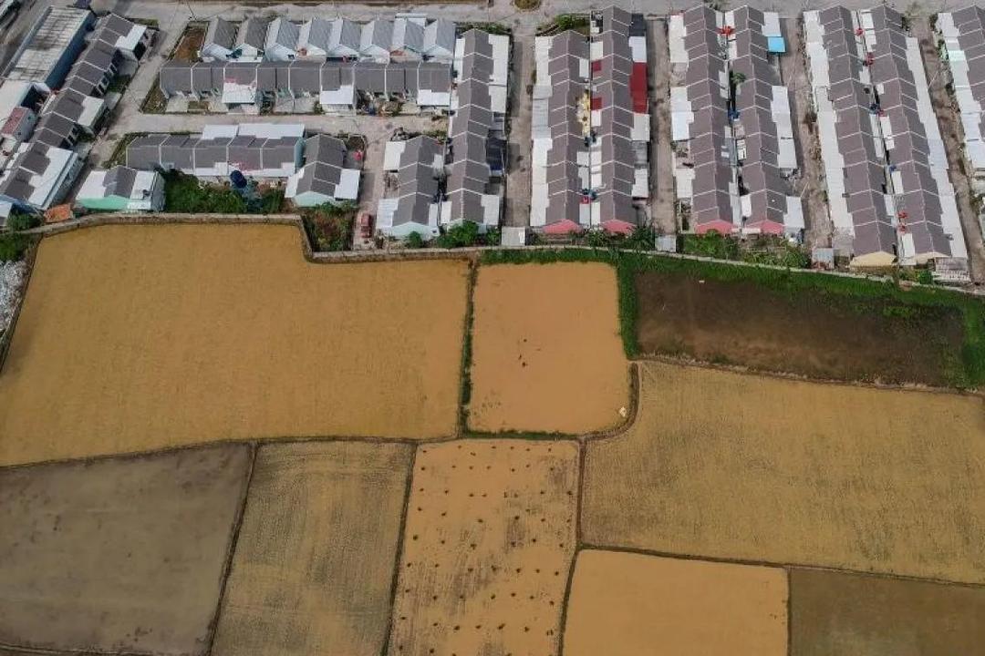 Area sawah dan perumahan di Kabupaten Serang (ANTARA FOTO/Putra M. Akbar)
