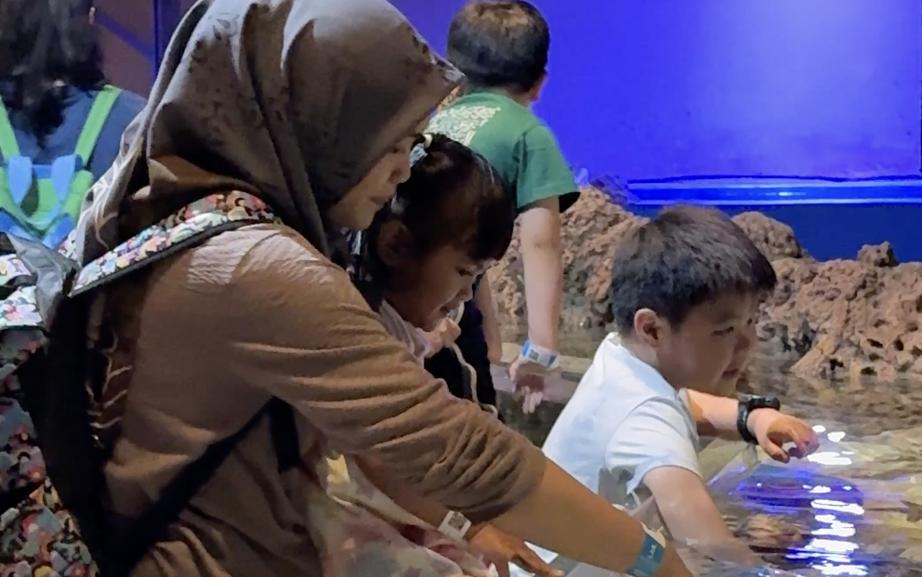 Jakarta Aquarium Pic.png
