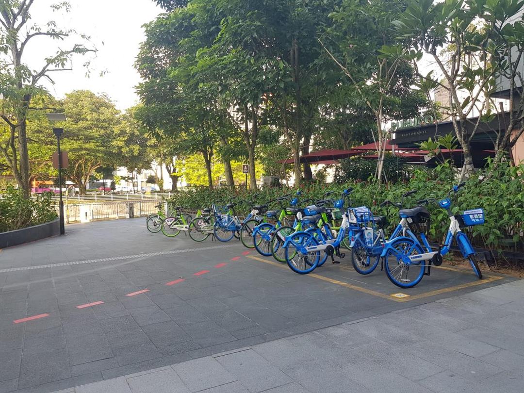 Bersepeda di Singapura: Paduan Suasana Kota dan Taman Hijau