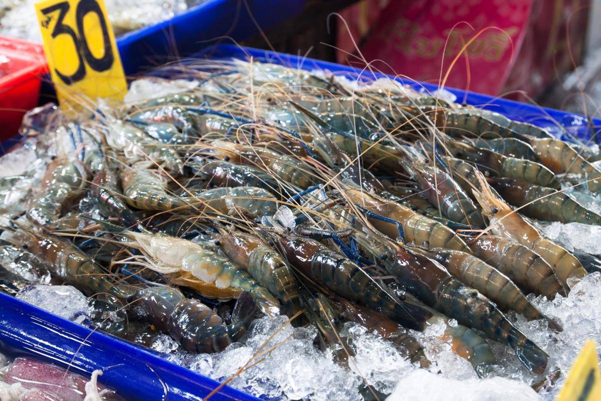 ilustrasi udang segar dan berkualitas (freepik.com/schantalao)