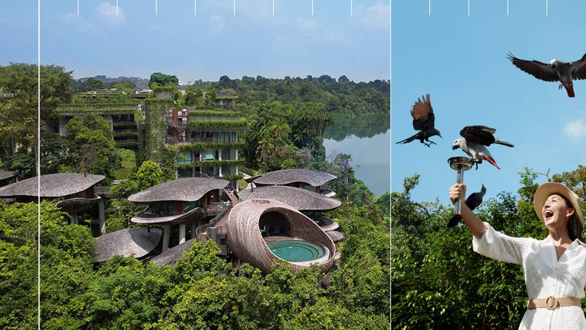 Mandai Rainforest Resort by Banyan Tree (Photo Credit_ Mandai Wildlife Group & WOW Architects).png