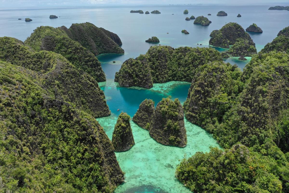 ilustrasi raja ampat (pexels.com/Ditras Family)