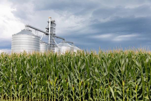 Pertamina Percepat Implementasi Bioetanol E20 2028 | FORTUNE Indonesia