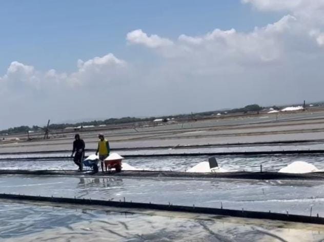 DPR Soroti Lonjakan Impor di Tengah Rencana Swasembada Garam