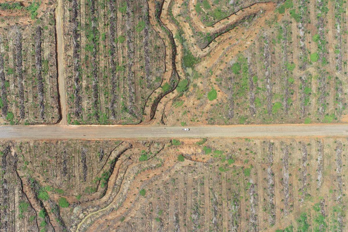 Jalan Hauling RMKE 2.jpeg