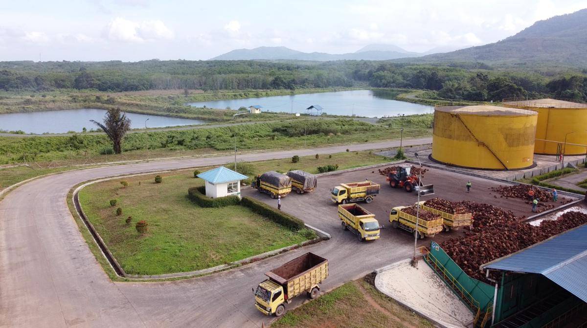 WhatsApp Image 2025-11-24 at 7.12.43 AM.jpeg