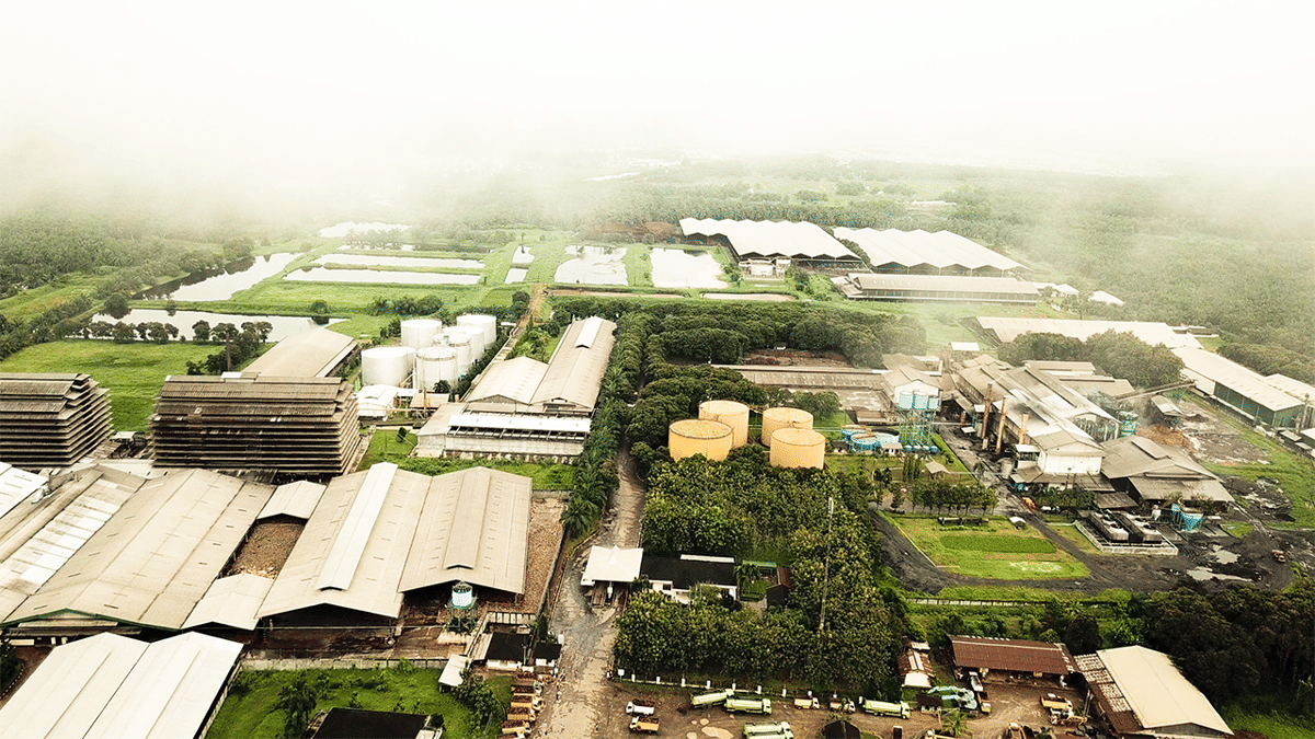 PT Pinago Utama Tbk (PNGO)