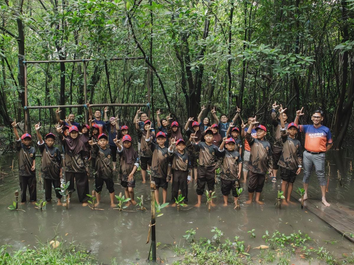 WEED Mangrove_2.jpg.jpeg