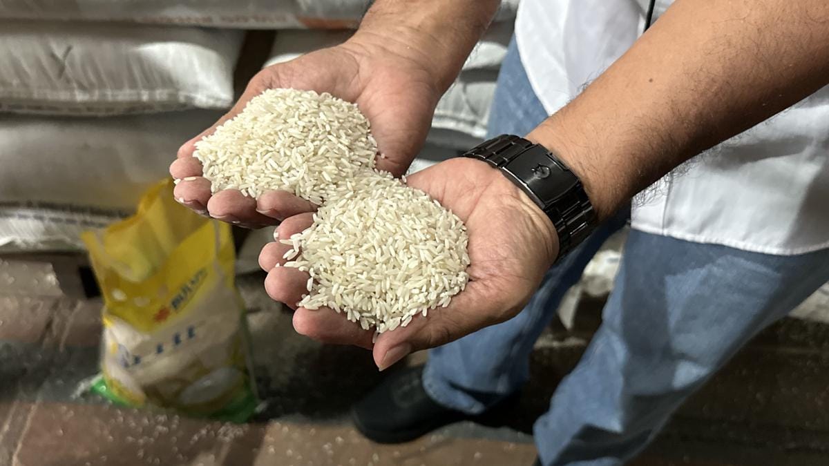 Pemerintah Mulai Salurkan 828 Ribu Ton Beras Guna Stabilisasi Harga