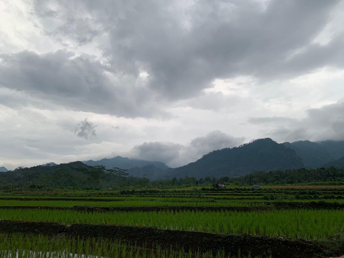 Pemerintah Siapkan Sanksi Denda Alih Fungsi Sawah Dilindungi