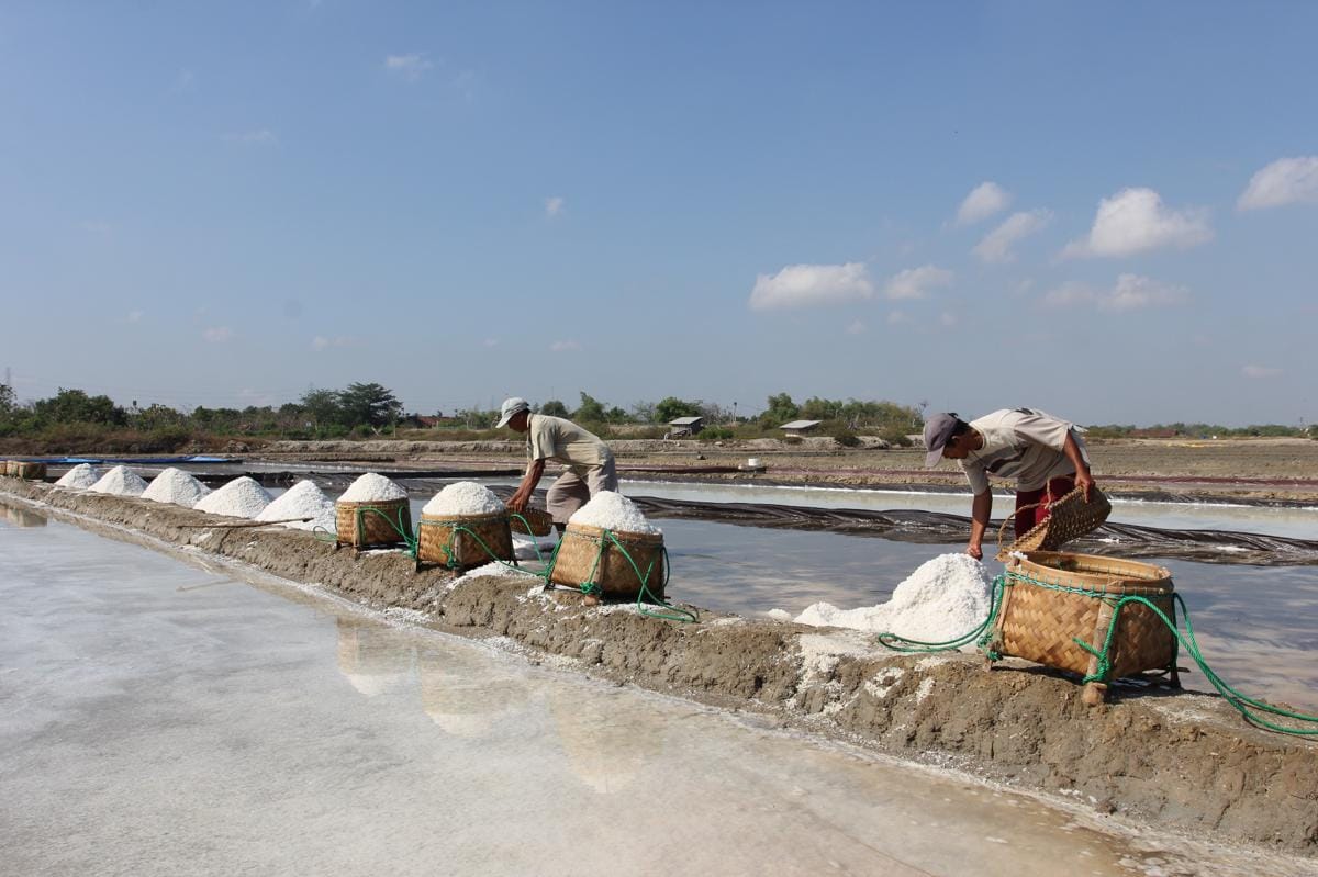 Sederet Proyek Demi Merealisasikan Setop Impor Garam 2027