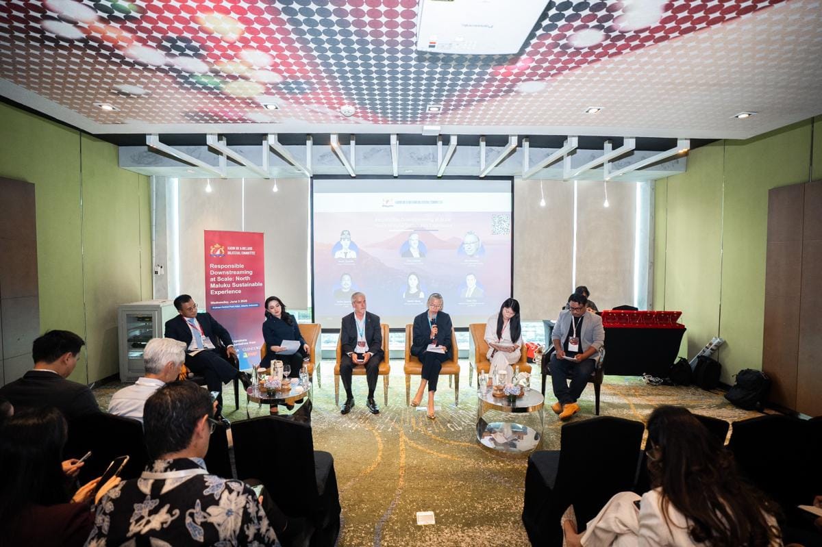 Bukan Lagi Nilai Investasi, ESG Jadi Penentu Nasib Hilirisasi Nikel RI
