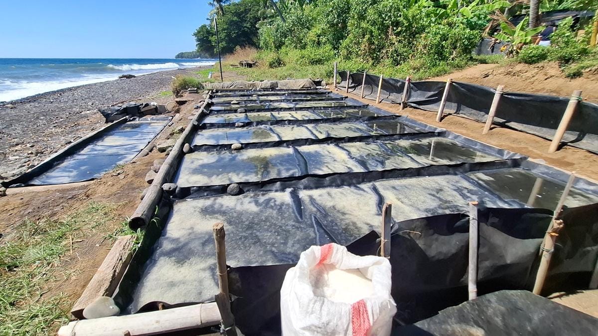 Garam dan Pariwisata, Penggerak Ekonomi Desa Les di Buleleng