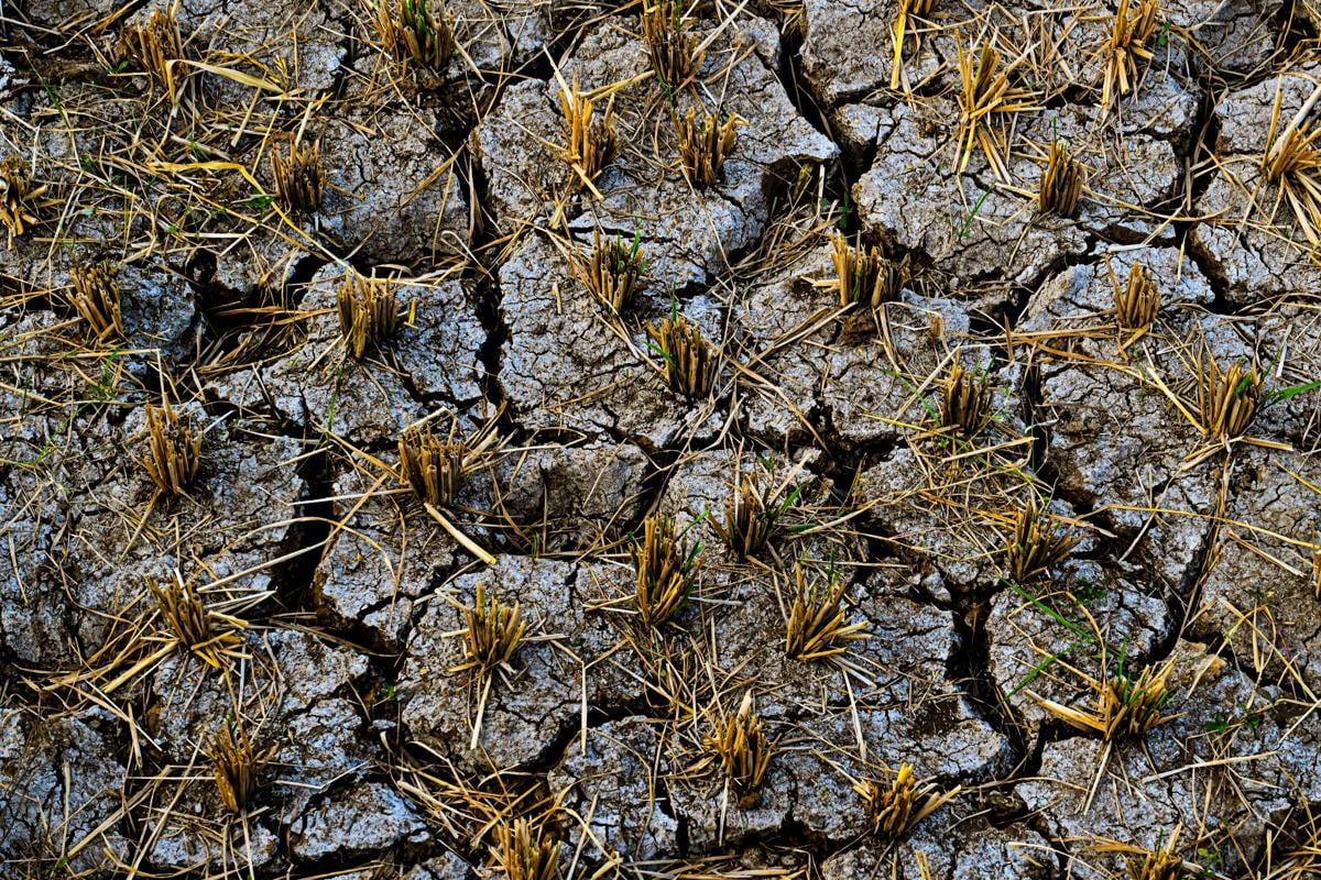 ADB: Eskalasi Konflik dan El Nino Tekan Perekonomian Asia Hingga 2027