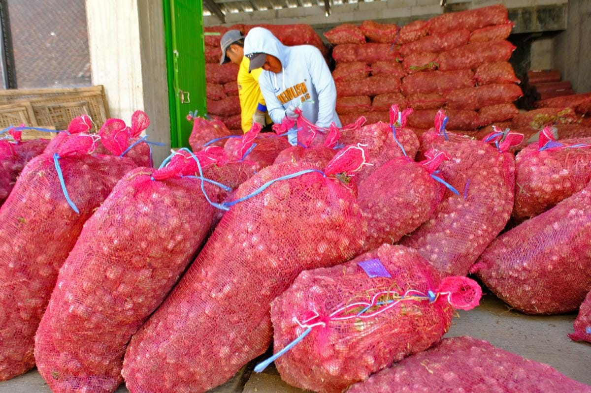 Ada Importir Bawang Putih yang Dicurigai Memanfaatkan Pelemahan Rupiah