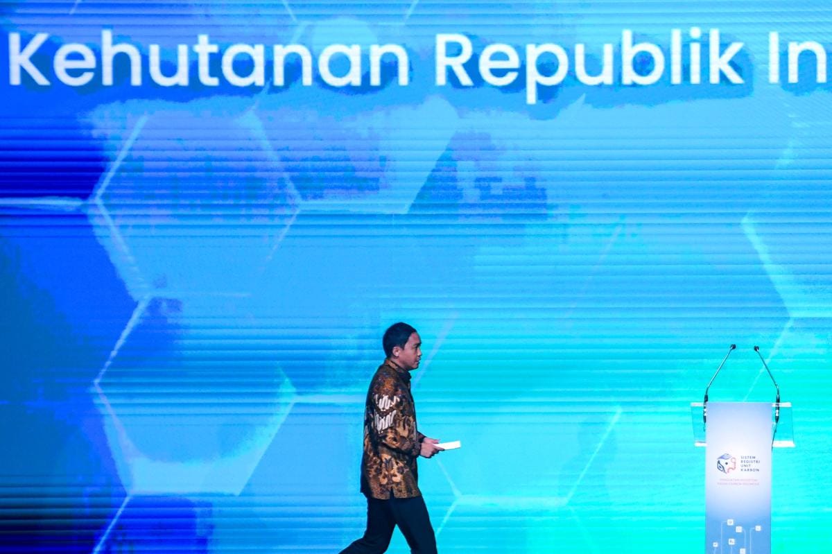 Empat Proyek Kehutanan Masuk Pasar Karbon, Nilainya Capai Rp5 Triliun 