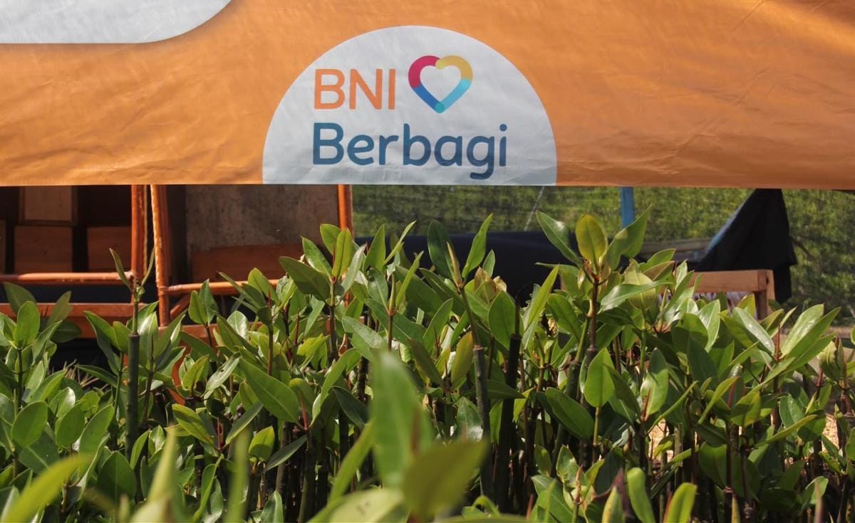 BNI Perkuat Konservasi Mangrove, Tanam 258 Ribu Bibit di Lima Wilayah