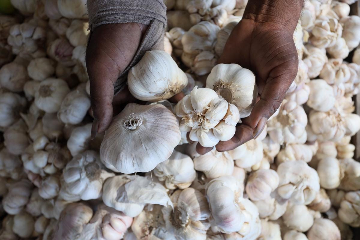 Strategi Pemerintah Kurangi Ketergantungan Impor Bawang Putih