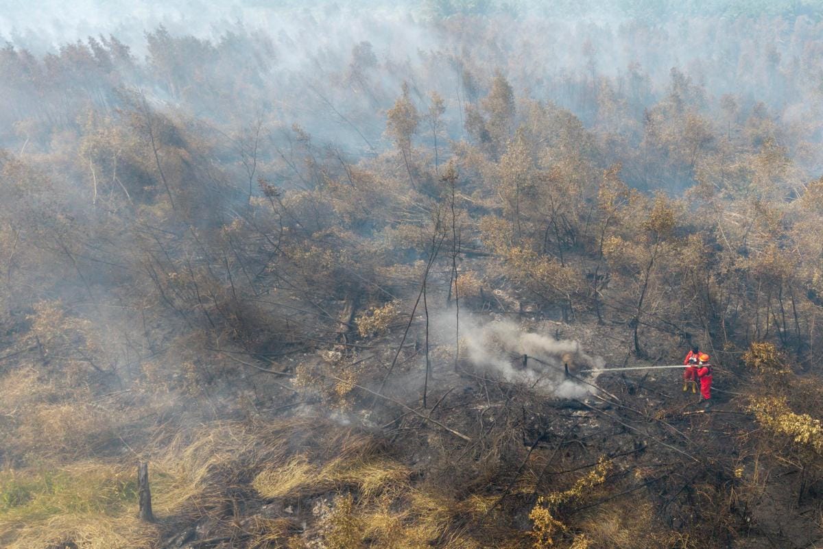 Celios Perkirakan Dampak Kerugian Ekonomi Akibat Karhutla Capai Rp123 Triliun