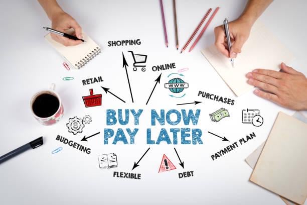 Penyaluran Paylater Perbankan Rp31,41 Triliun, Sektor Multifinance Rp13,61 Triliun