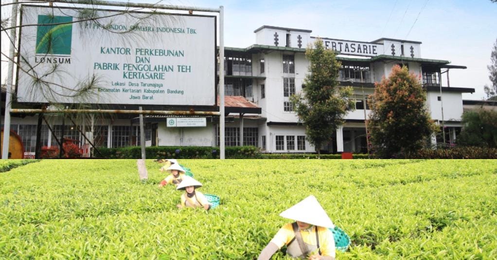 Diversifikasi Kemasan Jadi Strategi Teh Kahuripan Bidik Pasar HoReCa