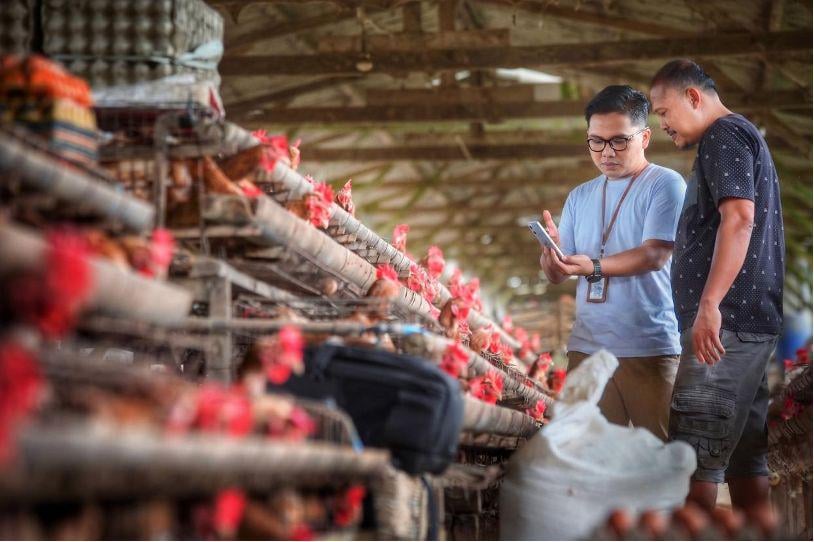 Indeks Bisnis UMKM Kuartal II-2026 Terjaga, Ditopang Optimisme Prospek Usaha