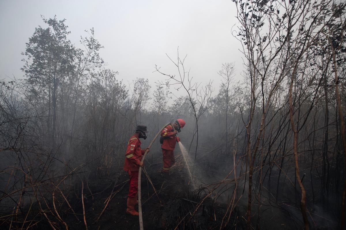 Kabut Asap Pekat Karhutla Lumpuhkan Pemadaman Udara, Terutama di Kalteng