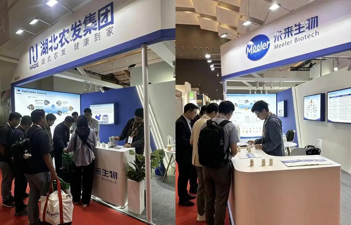 Meeler Biotech Jajaki Pasar RI, Kembangkan Bahan Baku Berbasis Telur