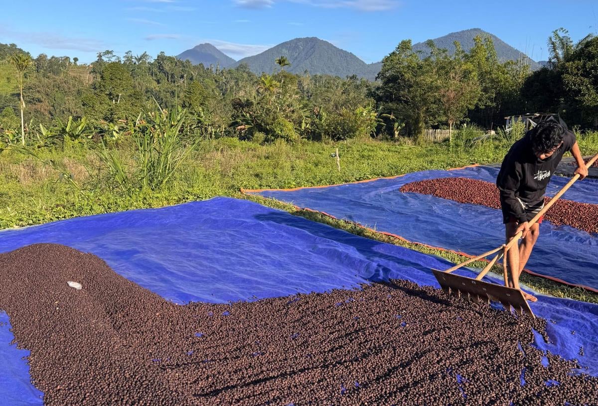 Penyaluran KUR Tembus Rp260 Triliun, Sektor Produktif Melampaui Target Pemerintah